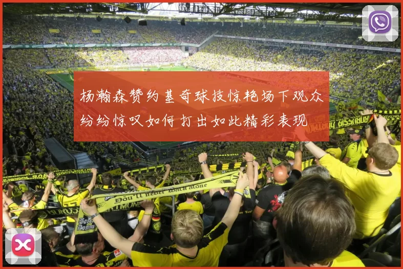 杨瀚森赞约基奇球技惊艳场下观众纷纷惊叹如何打出如此精彩表现